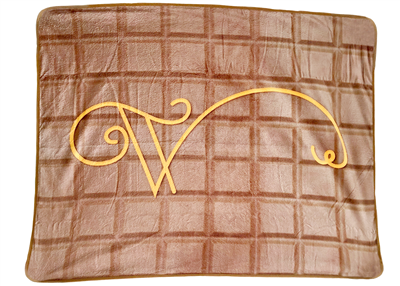 Wonka Chocolate Bar Blanket